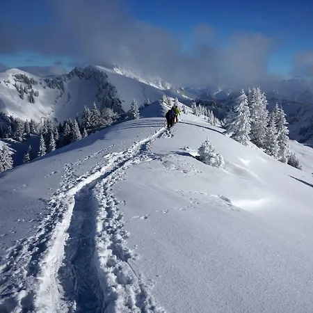 Jaegerhaus Apartment Andelsbuch