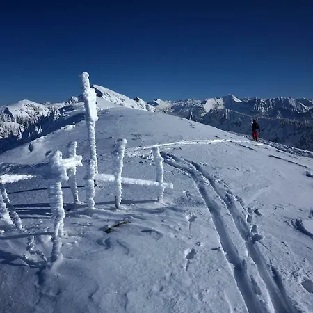 Jaegerhaus * Andelsbuch