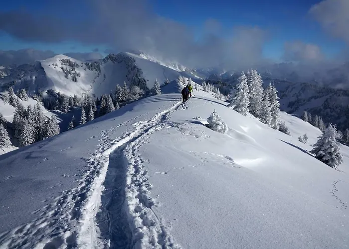 Jaegerhaus Apartmán Andelsbuch