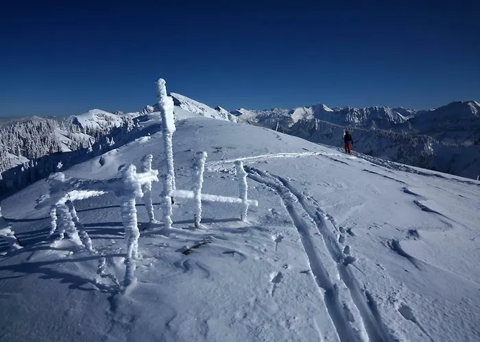 Jaegerhaus * Andelsbuch
